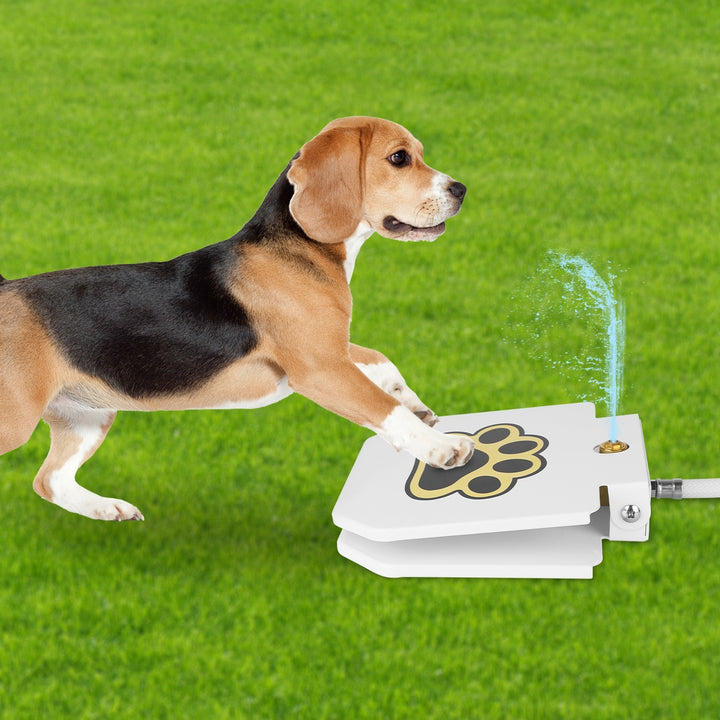 Dog Water Fountain Outdoor Step-On Pet Water Dispenser with Paw Pedal | Self-Activated Drinking Sprinkler for Dogs