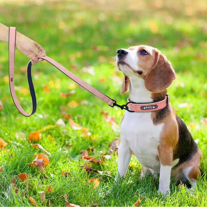 Personalised Dog Collar