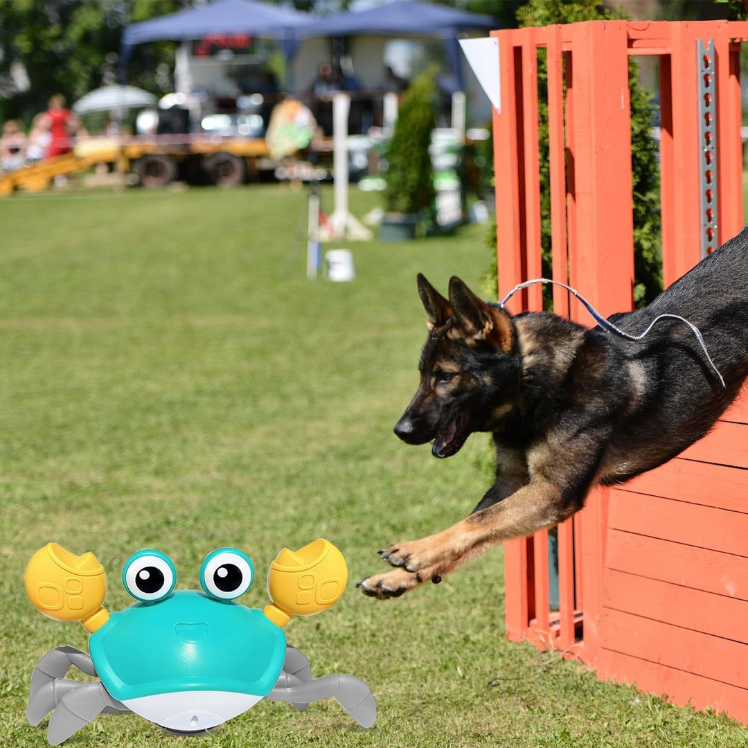 Crawling Crab Dog Toy - Interactive Escaping Crab Dog Toy With Obstacle Avoidance Sensor