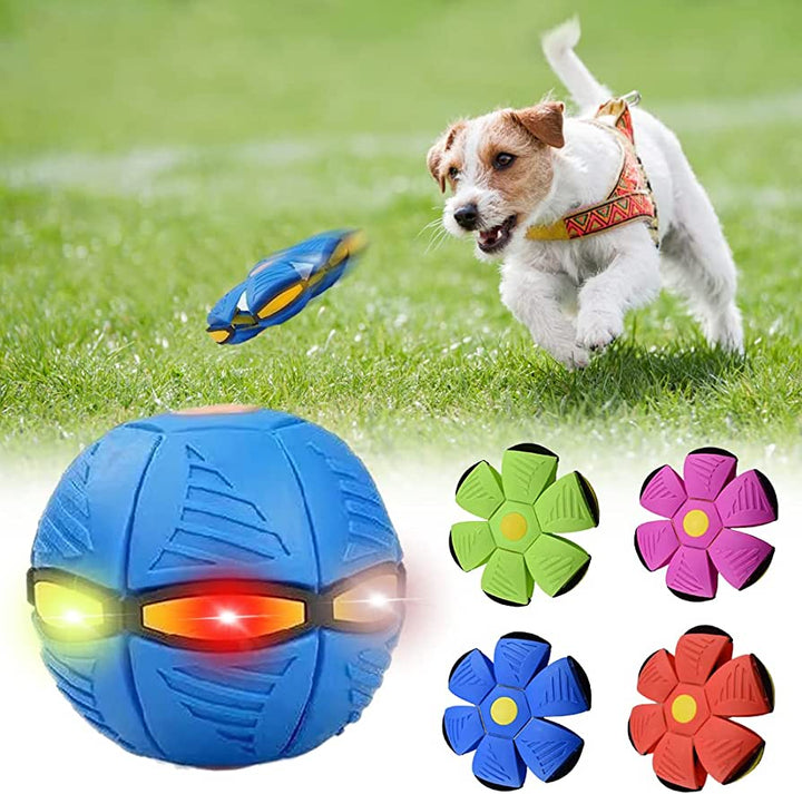 Flying Saucer Ball Dog Toy