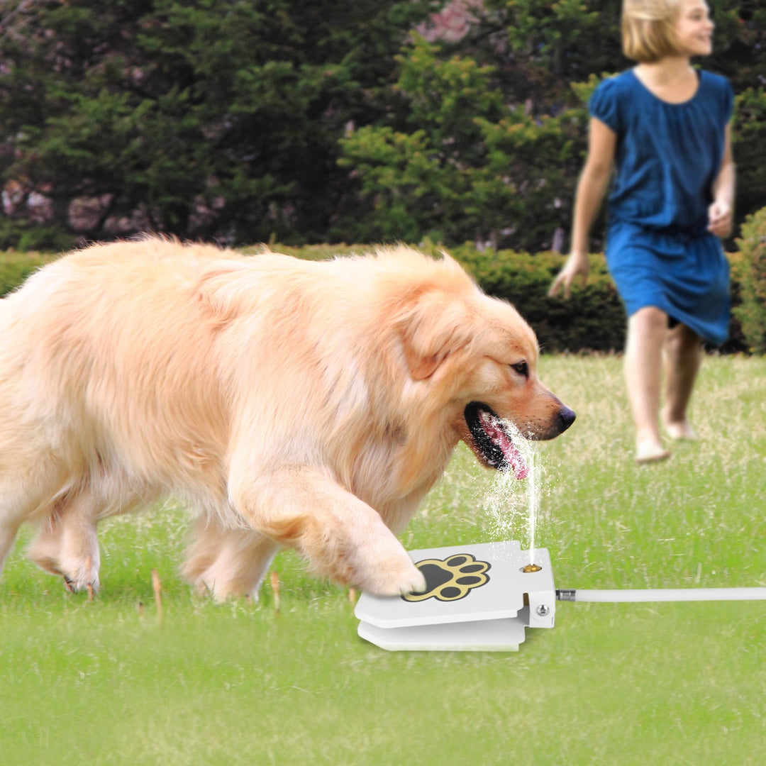Dog Water Fountain Outdoor Step-On Pet Water Dispenser with Paw Pedal | Self-Activated Drinking Sprinkler for Dogs
