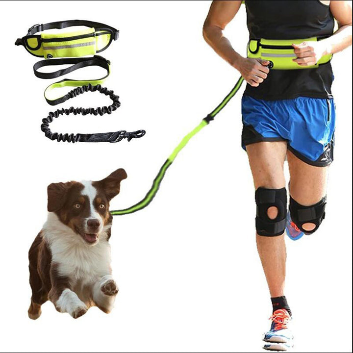 Hands-Free Dog Leash with Belt, Pocket & Bottle Holder