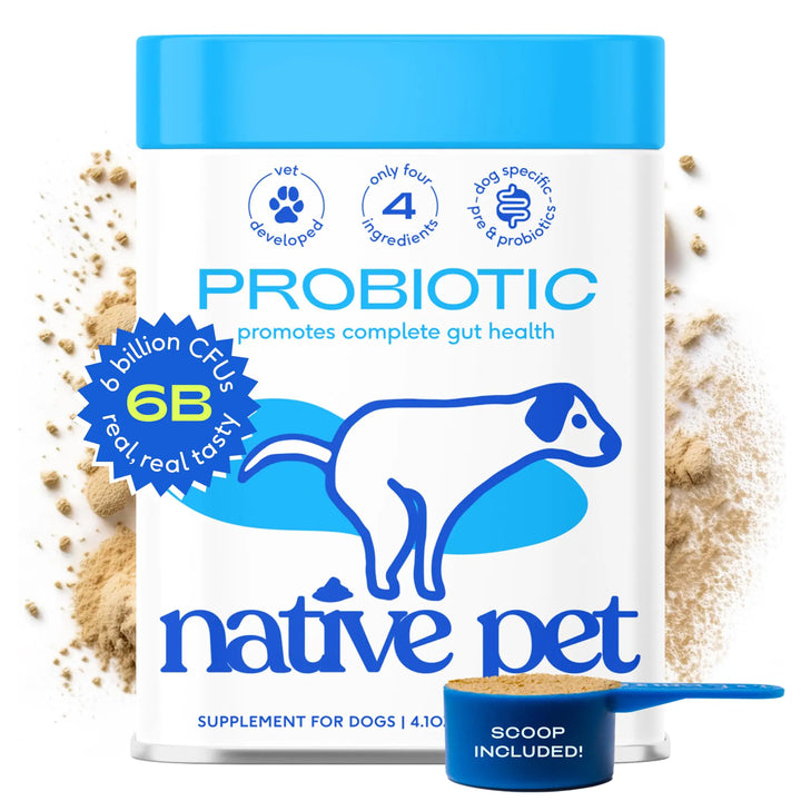 Native Pet Probiotic Powder for Dogs – Vet-Created Digestive Supplement with Prebiotics & Bone Broth – 6 Billion CFU, 232g (4.1oz)
