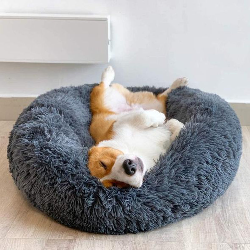 Cosy Calming Dog Bed