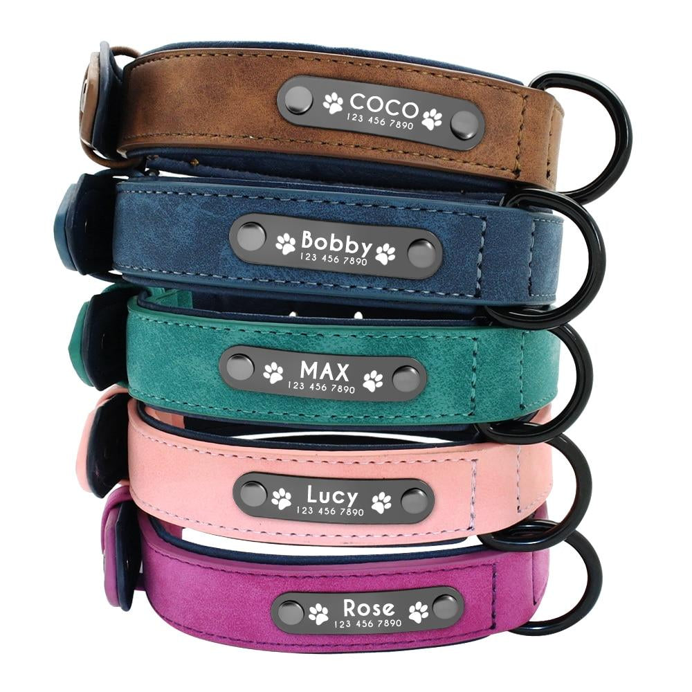 Personalised Dog Collar