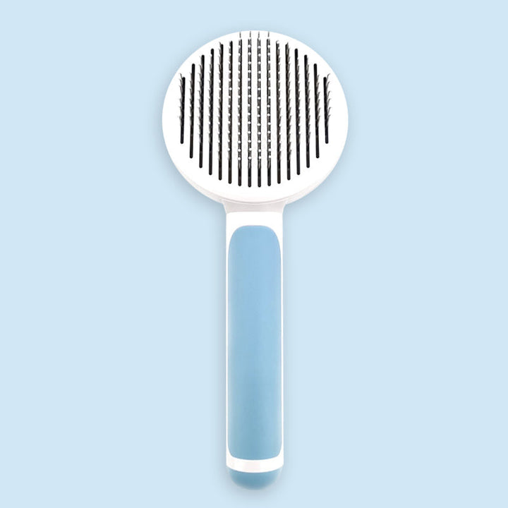 The Self-Cleaning Brush