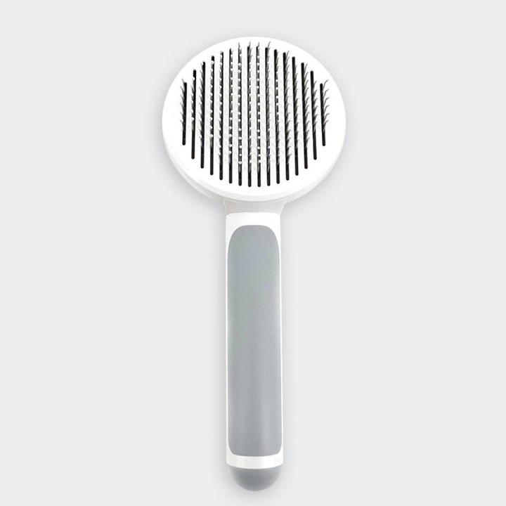 The Self-Cleaning Brush