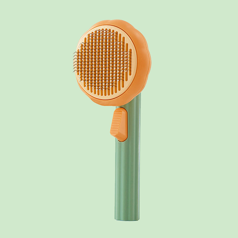 The Self-Cleaning Brush