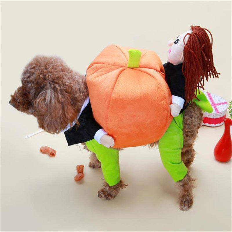 Dog wearing a Halloween-themed pumpkin costume with a person inside on a plain background