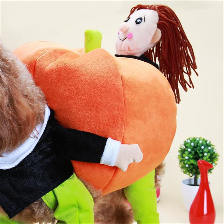 Child wearing a plush lion in a pumpkin costume with a neutral background