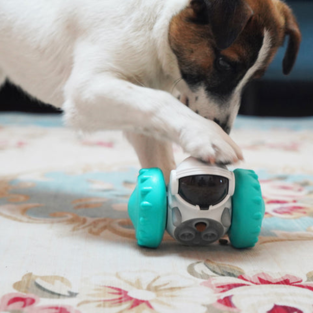 Interactive Robot Treat Toy