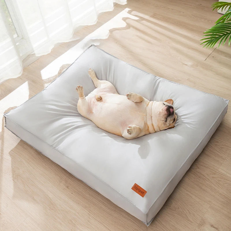 Dog lying on a large pet bed in a bright room with a plant in the corner.