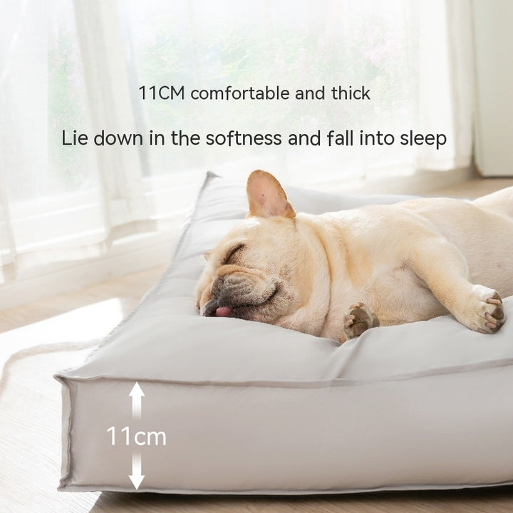 Dog lying on a thick cushion with text indicating its thickness and comfort.