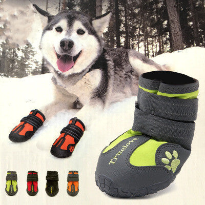 Dog wearing protective boots with a snowy background