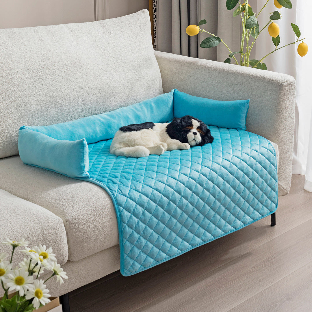Dog lying on a blue quilted pet bed on a sofa with flowers and a plant in the background.