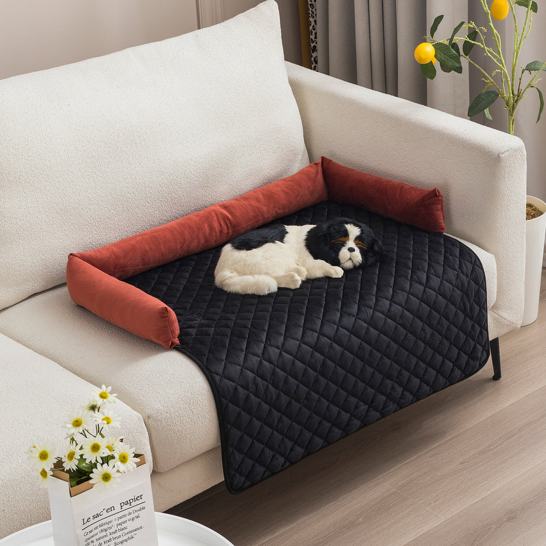 Dog lying on a black quilted pet bed with red pillows on a beige sofa.