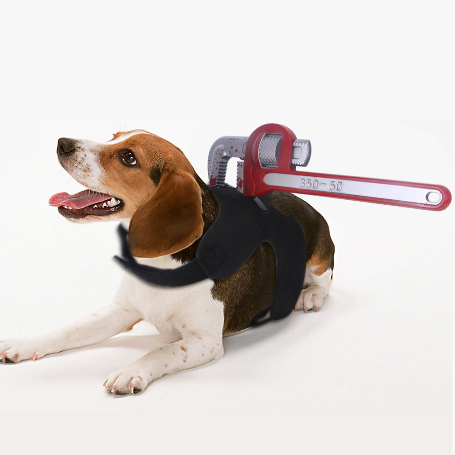Dog wearing a harness with a red tool on a white background