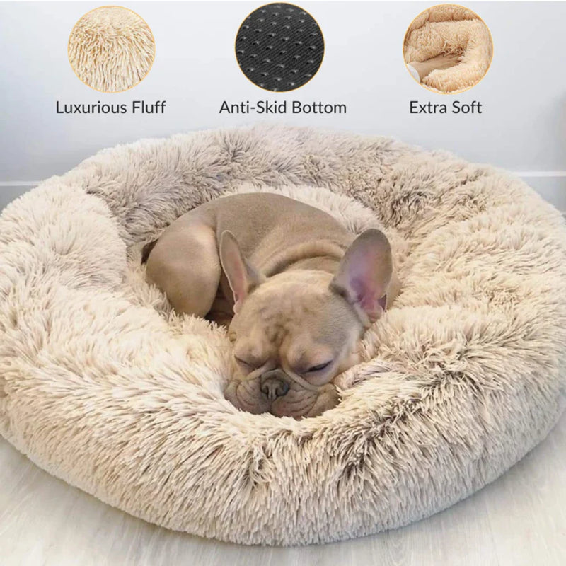 Cosy Calming Dog Bed