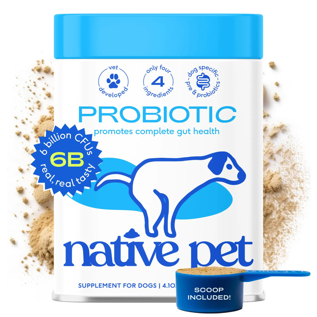 Native Pet Probiotic Powder for Dogs – Vet-Created Digestive Supplement with Prebiotics & Bone Broth – 6 Billion CFU, 232g (4.1oz)