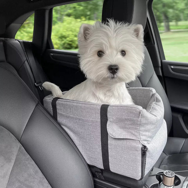 Pet Carpool Seat